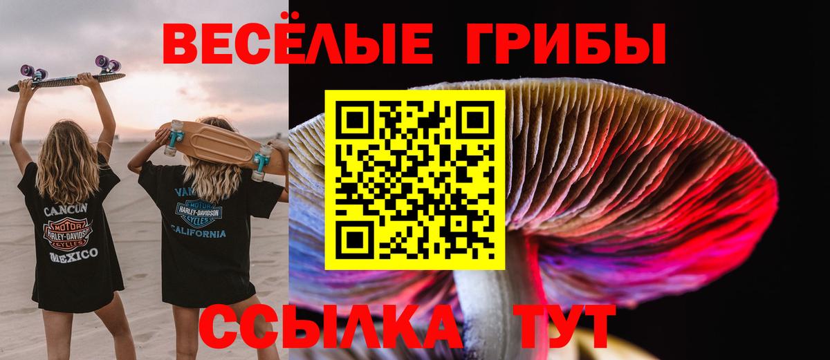 Славгород  Галлюциногенные грибы ЛСД  Вход с VPN 