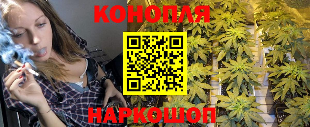 Шишки марихуана Amnesia Славгород